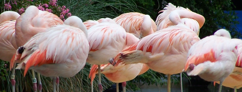 网站ddos隐藏源ip